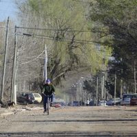 ¡Atención! La plaga que acecha en barrios de la ciudad
