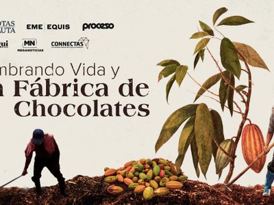 Sembrando vida y la fábrica de chocolates