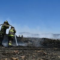 Extinguen fuego en el Bosque La Primavera