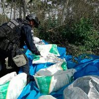 Guerrero: conflicto por fertilizante que subsidia el gobierno apunta a los amapoleros