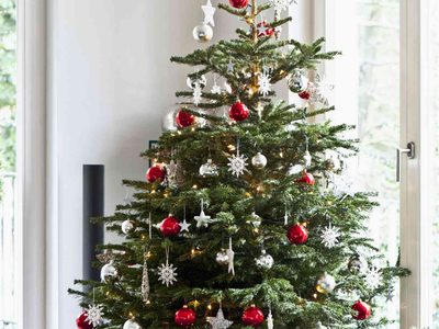 Picada en forma de árbol de Navidad: muy fácil y deliciosa, para sorprender a todos en las Fiestas