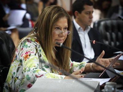 Diputada Camaño: "Discutir una reforma judicial en plena pandemia es inoportuno"
