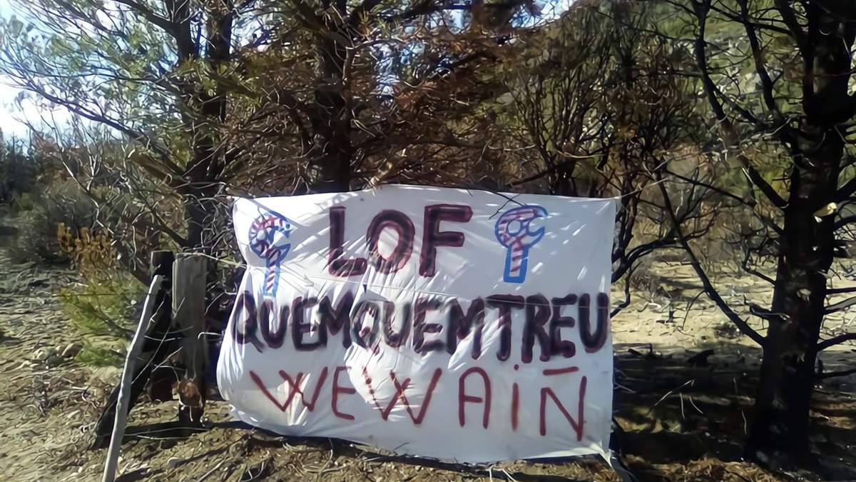 Bandera de una comunidad mapuche en un campo privado en la zona de El Bolsón. Fuente: (Twitter)