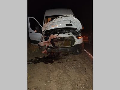 Un caballo saltó e impactó sobre una camioneta que transitaba a un familia sobre la ruta 40