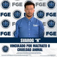 Vinculan a proceso a presunto torturador de gatos en Ensenada, Baja California