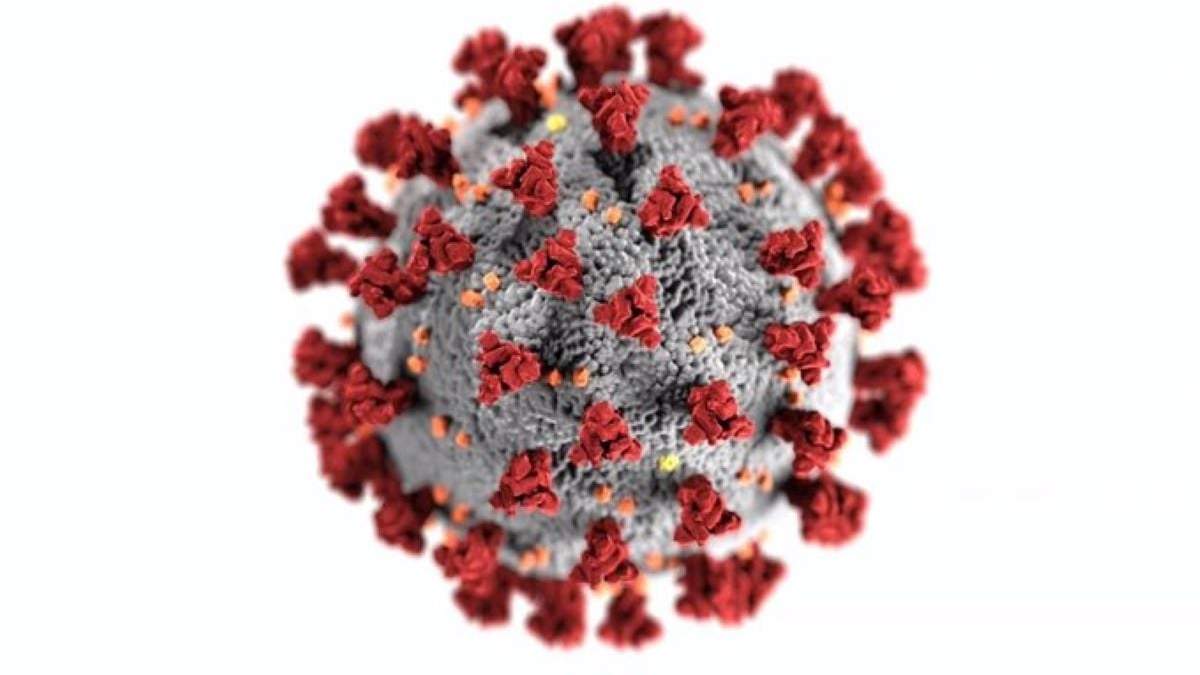 Virus de SARS-CoV-2