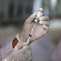 Llega a la Argentina el mayor cargamento de vacunas contra el coronavirus
