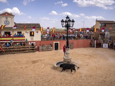 Ola de muertes en España pone fiestas taurinas bajo la lupa