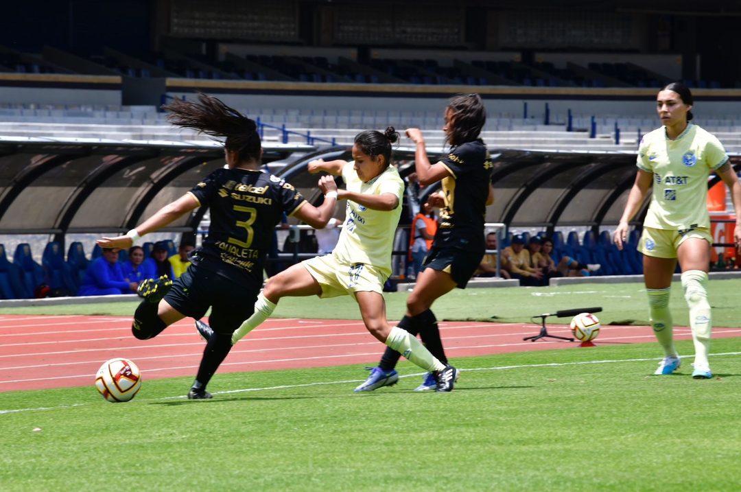 PUMAS Ame3