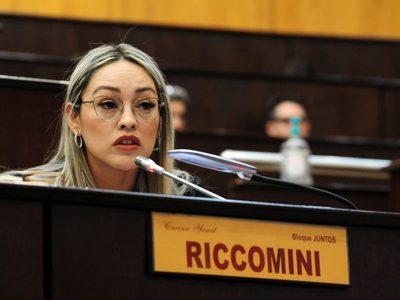 La diputada Riccomini propone que en quinto grado los alumnos prometan "no al bullying en la escuela"