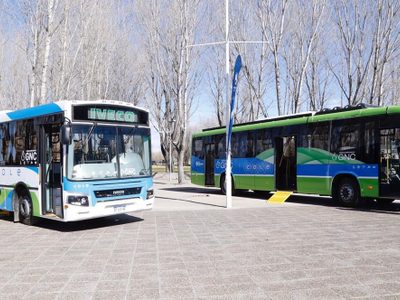 Presentaron las nuevas unidades del sistema de transporte público de Neuquén
