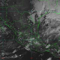 Frente frío #19 provocará ambiente gélido con heladas y bancos de niebla: SMN