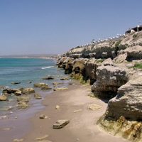 Sorpresa en Las Grutas: las ballenas dieron otro show