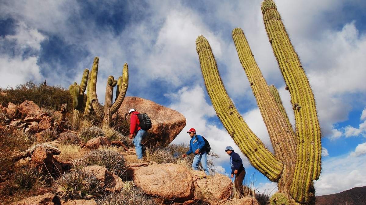 Guías de turismo en La Rioja acceden al Colegio Profesional. Fuente: (Instagram)