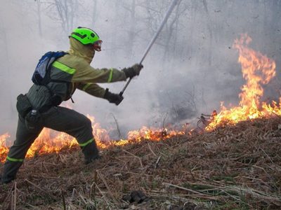 Concejal de Villa la Angostura pidió al intendente que intervenga por la continuidad de brigadistas