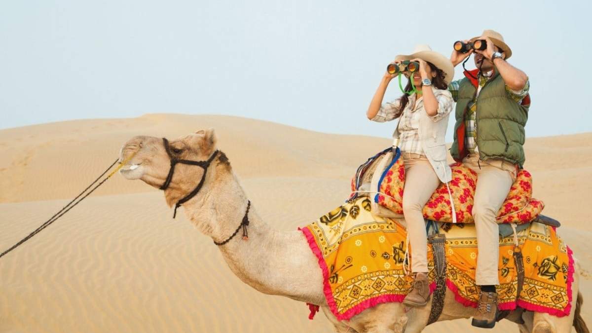 Los camellos ya no transpotarían turistas. Fuente: (Instragam)