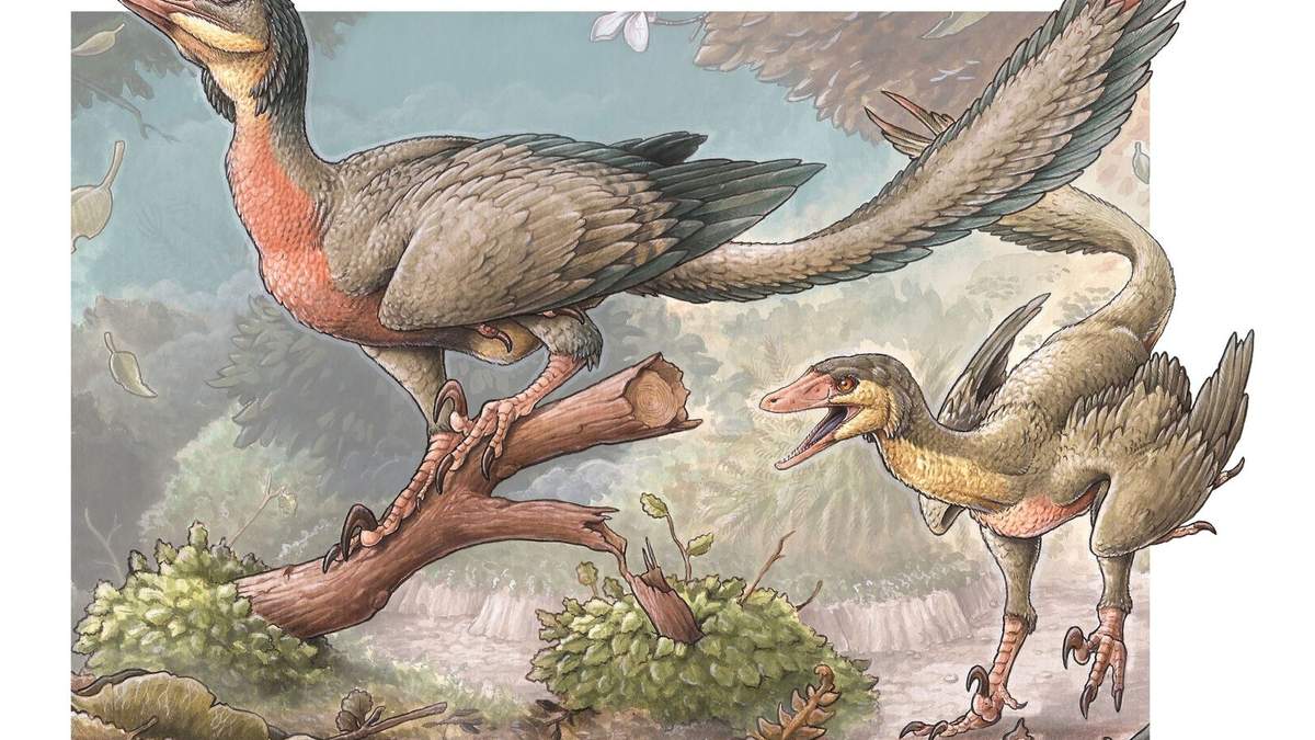 Así era el Overoraptor chimentoi