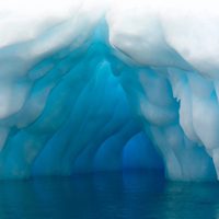 Hallazgo en la Antártida: descubrieron una vida marina secreta, en un río, bajo la capa de hielo