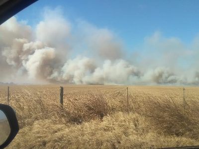 Robos, violencia y destrucción: una ola de ataques amenaza a los productores del campo