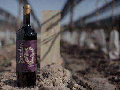 El club de vinos Bonvivir festeja sus 10 años de vida con una nueva etiqueta