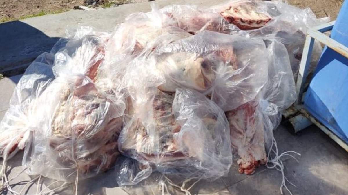 Los 300 kilos de carne fueron secuestrados y destruidos. Fuente Senasa.