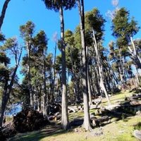 Juntan firmas para impedir la venta “ilegal” de la Reserva Natural Costera de Villa Traful