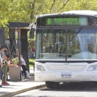 Paro de colectivos: los chóferes de Pehuenche y Ko-Ko reanudaron el servicio hacia Neuquén