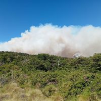 Prohíben encender fuego en los parques Nacionales de la Patagonia