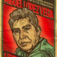 Denuncian dilación en proceso contra Miguel López, defensor del río Metlapanapa