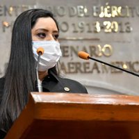 Nueva Alianza, aliado del PRI, se queda sin diputados en el Congreso del Edomex