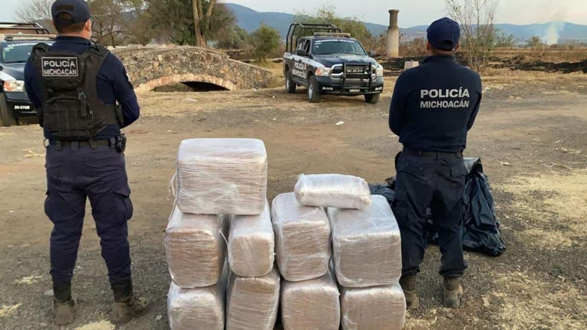 La mariguana asegurada en Michoacán