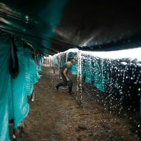La sigilosa vida de los guerrilleros en Colombia