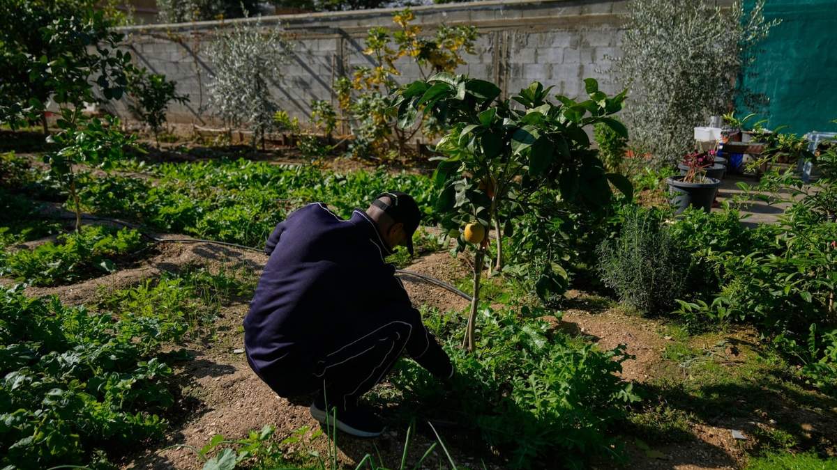 Un obrero palestino que trabaja en una zona industrial israelí en Cisjordania cuida el jardín de su casa, en la ciudad de Jericó