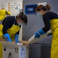 Otro país de América del Sur aprobó la vacuna de Pfizer y BioNTech