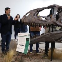Presentaron en Villa El Chocón a Meraxes, un dinosaurio carnívoro gigante