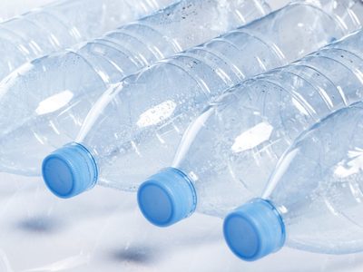 No tires las botellas plásticas y hacé este sencillo comedero de aves para llenar de vida tu jardín