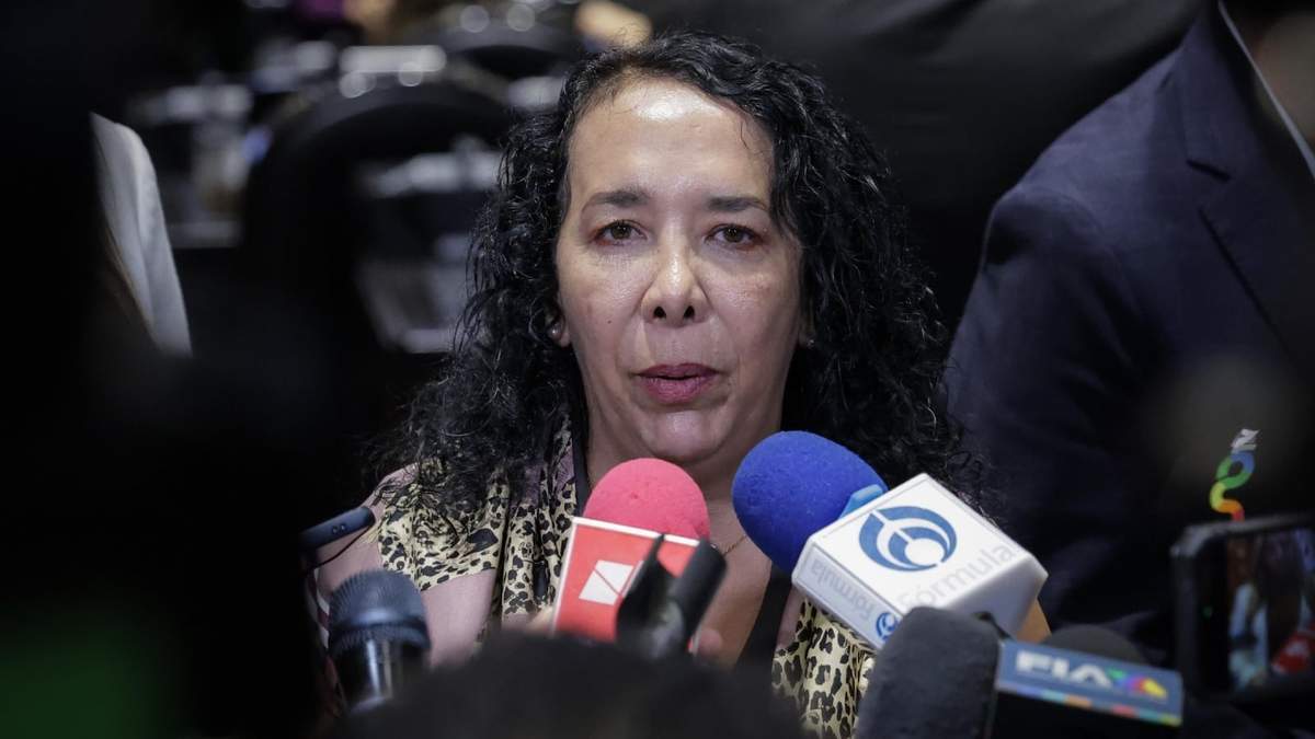La diputada federal morenista, Araceli Brown Figueredo en la Cámara de Diputados
