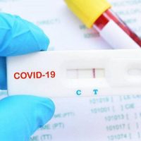 Preocupación en Zapala por el notorio aumento de casos positivos de Covid en los últimos días