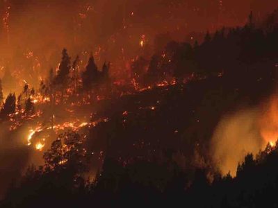 200 casas arrasadas y 30 heridos: la actualidad del devastador incendio en El Bolsón