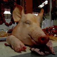 El consumo de la carne de cerdo debe ser desmitificado: especialista de la UNAM