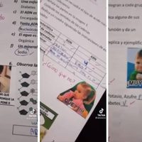 Maestra califica con memes a sus alumnos y se vuelve viral
