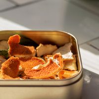 Seguro no lo sabías: la razón por la que tenés que poner cáscaras de mandarina cerca de tus puertas y ventanas