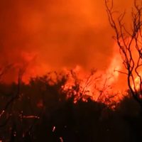 Video: impresionante incendio en Mendoza se salió de control