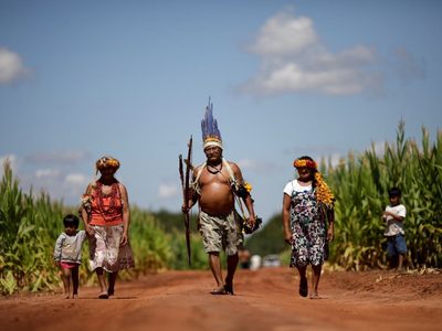 Atroz invasión a tierras indígenas durante el primer año del gobierno de Bolsonaro, según informe