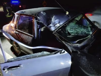Incidente vial: una familia impactó contra un caballo que se les cruzó por la Ruta Provincial 61