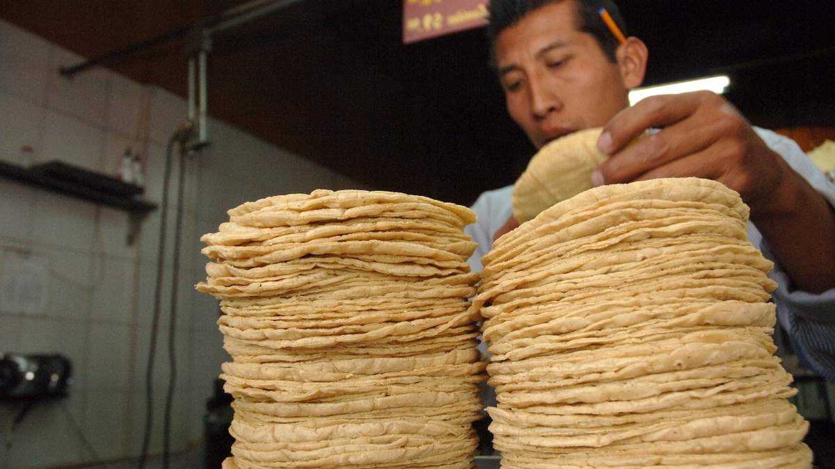 La tortilla suma 14 quincenas al alza