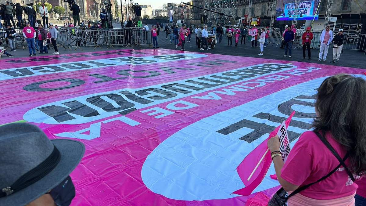 "En defensa del INE"