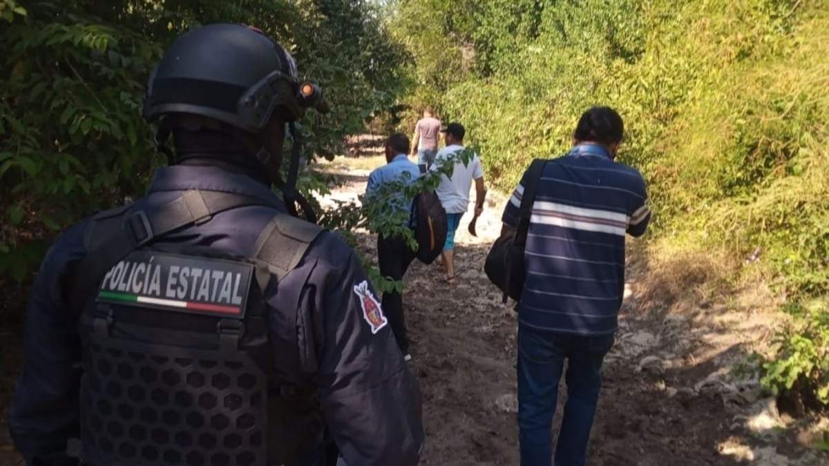 Diversas corporaciones montaron un operativo de búsqueda del león