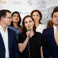 Todos los senadores panistas se comprometen de viva voz a votar en contra de la reforma judicial