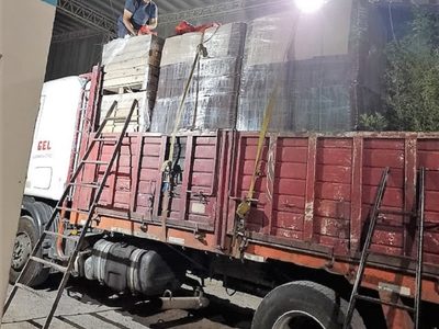 El Senasa decomisó y destruyó hortalizas que eran transportadas junto con químicos